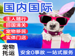 文山砚山航空快递国际宠物托运 【国